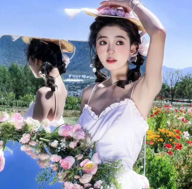 不进花瓶的洋甘菊